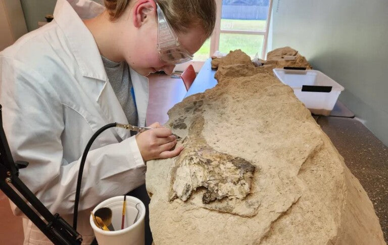 Alabama teen uncovers 34-million-year-old whale skull!