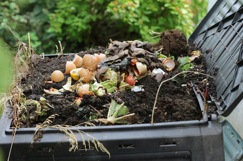 3 Reasons Why Composting is So Important + How to Start at Home