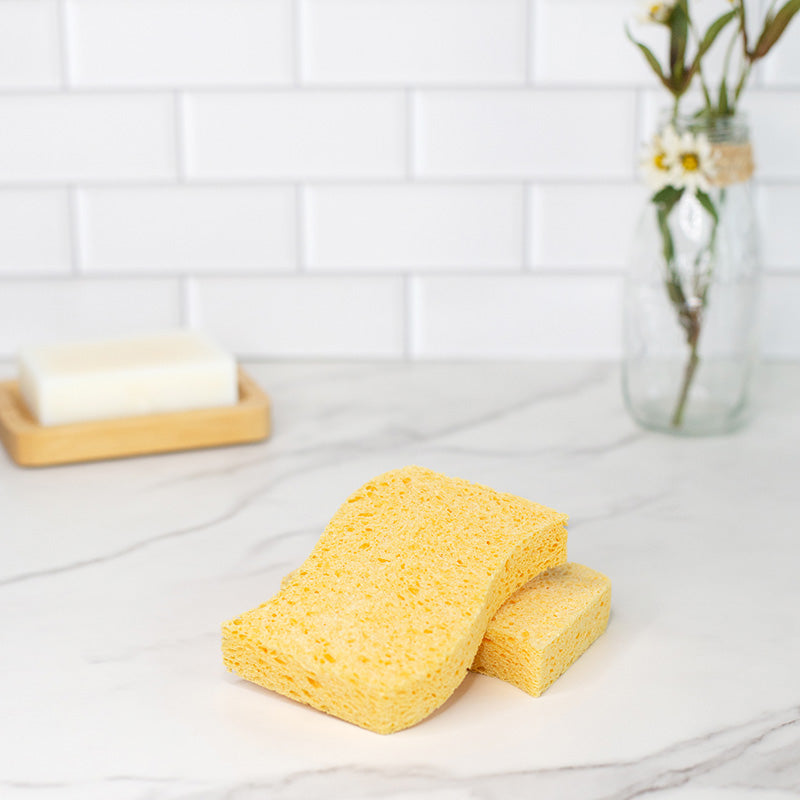 Introducing Our Biodegradable Kitchen Sponges Free the Ocean