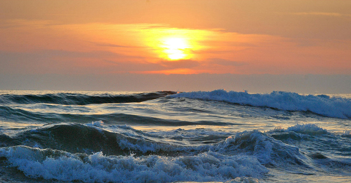 Scientists Record Chilling Sound Deep in the Pacific That Mimics a Woman’s Voice