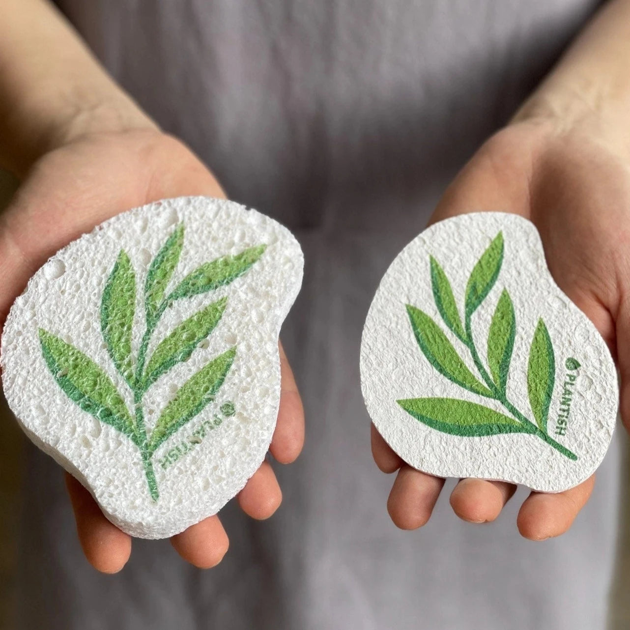 A person is holding two flat, white, leaf-patterned sponges labeled PLANTISH.