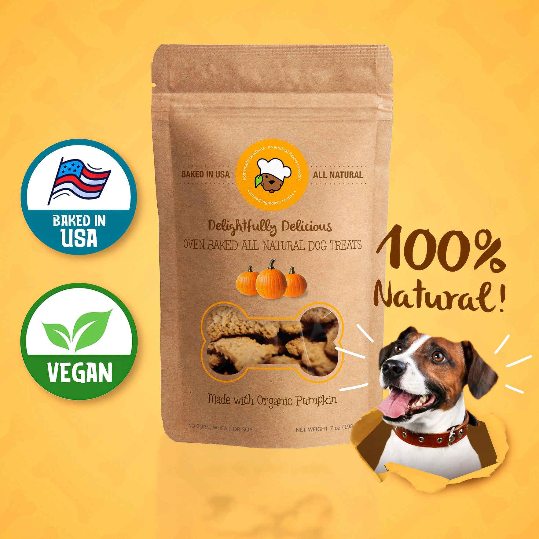 A bag of dog treats is shown on a bright orange background with a comic-style dog bursting out of the corner. The bag is labeled "Delightfully Delicious Oven Baked All Natural Dog Treats" and states they are "Made with Organic Pumpkin" and are "100% Natural!". The bag also has logos for "Baked in USA" and "Vegan".