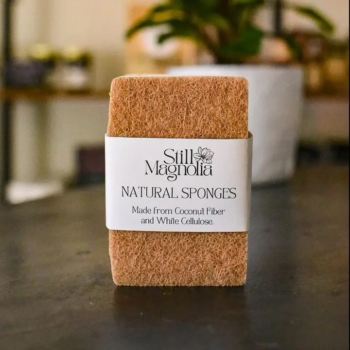 A trio of natural sponges displayed in a kitchen setting, showcasing their durable, quick-dry texture crafted from eco-friendly materials.