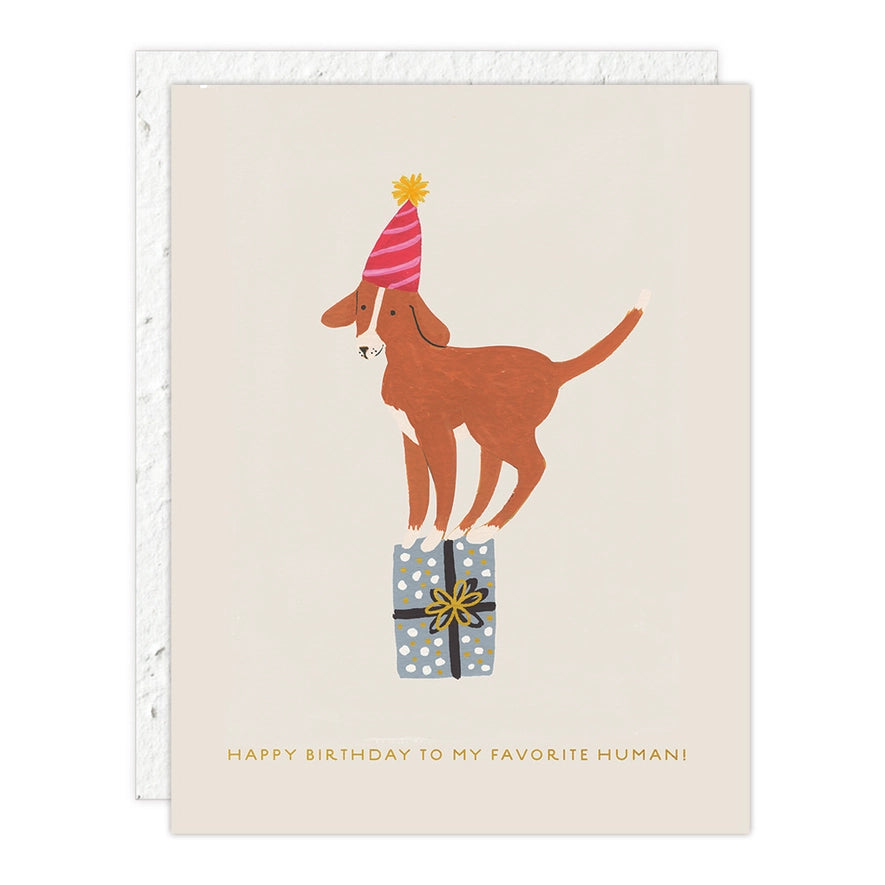 A seedling card featuring a brown dog wearing a pink party hat, balancing on a wrapped gift box. Text reads: "Happy birthday to my favorite human!"