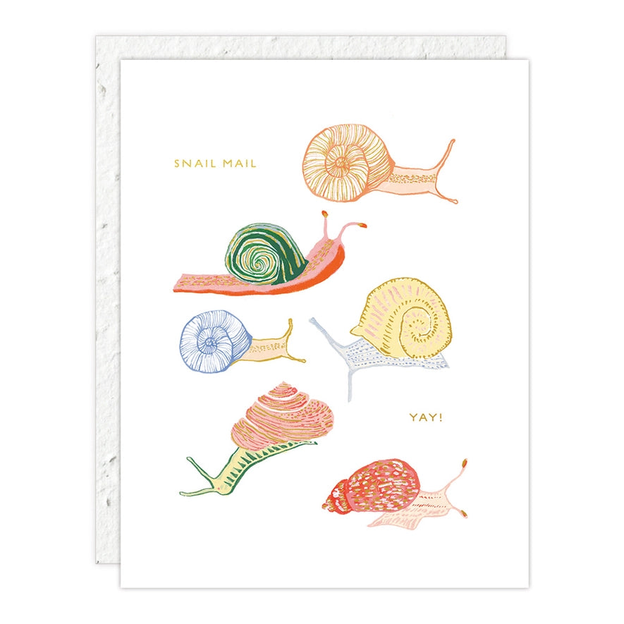Colorful illustrated snails on a white seedling card with the text "Snail mail yay!"