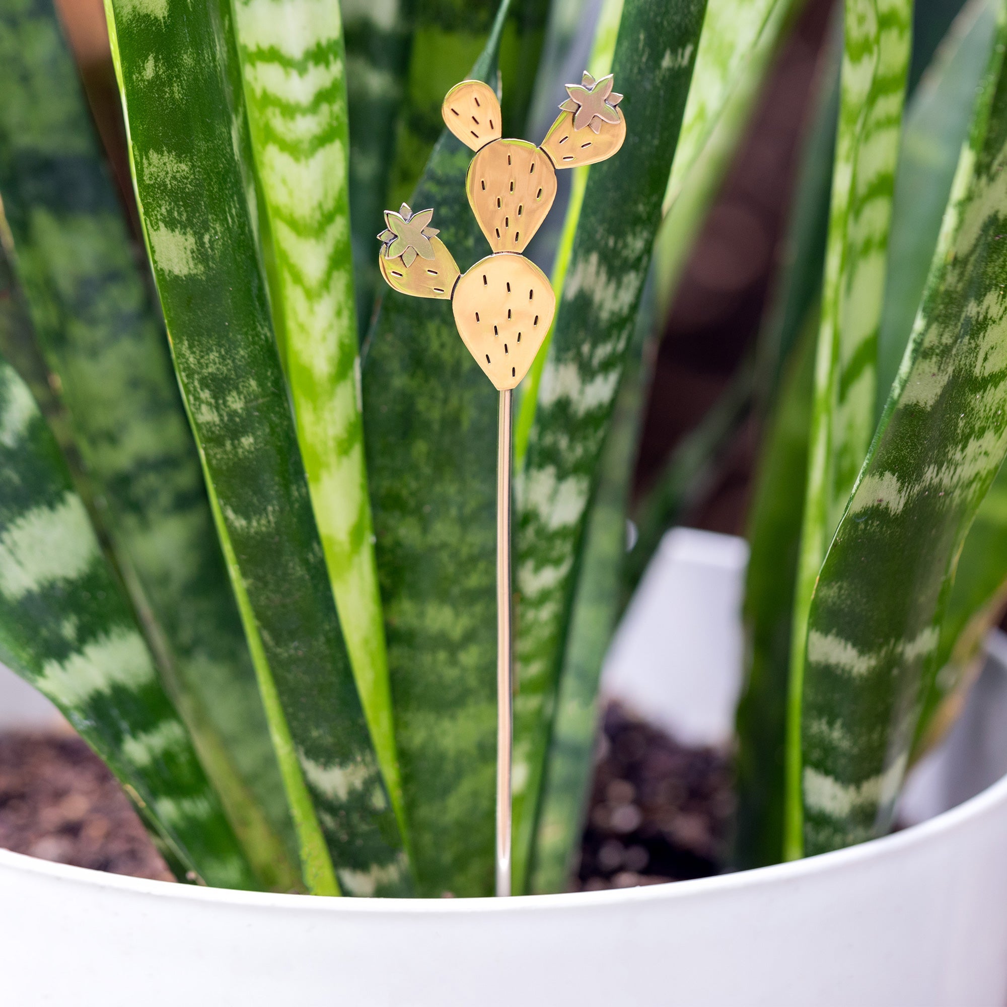 A handmade cactus plant stake crafted from alpaca silver and brass adds a playful touch to a snake plant.
