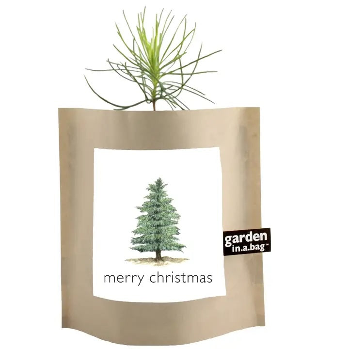A young evergreen sapling with thin needles sprouts from a brown paper "garden in a bag" pouch, which features a label with an evergreen tree illustration and the words "merry christmas."