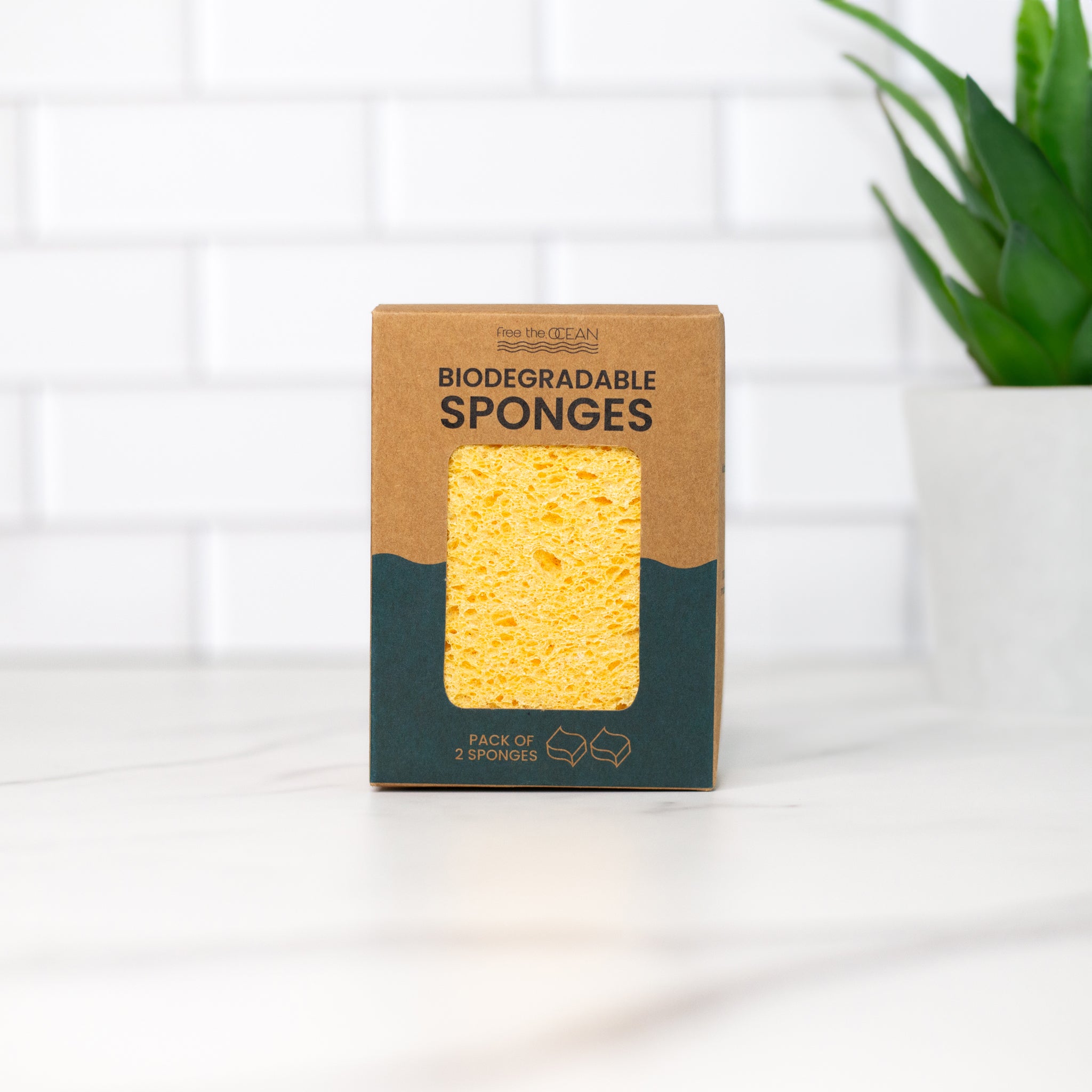 Front view of biodegradable kitchen sponges Kraft box with a window showing sponges inside, placed on a marble surface next to a green plant.