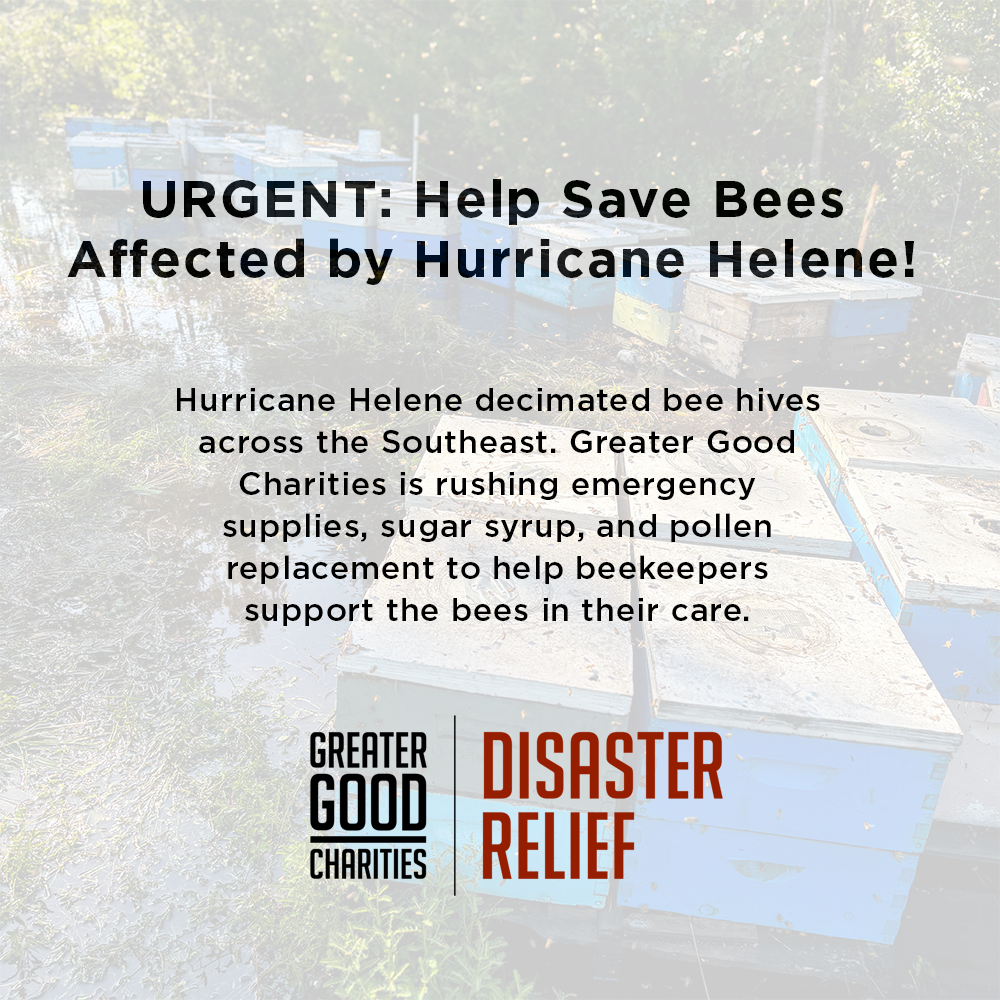 Graphic urging support for bees impacted by Hurricane Helene, with emergency relief messaging over a background of flooded hives.