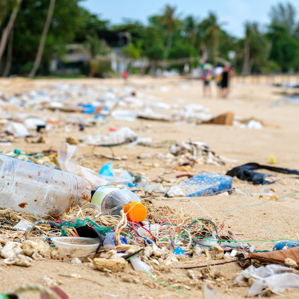 Help Save Our Oceans