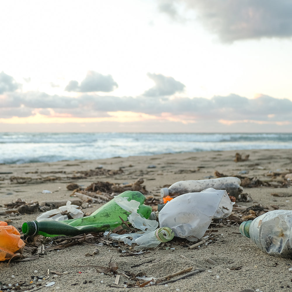 Help Save Our Oceans