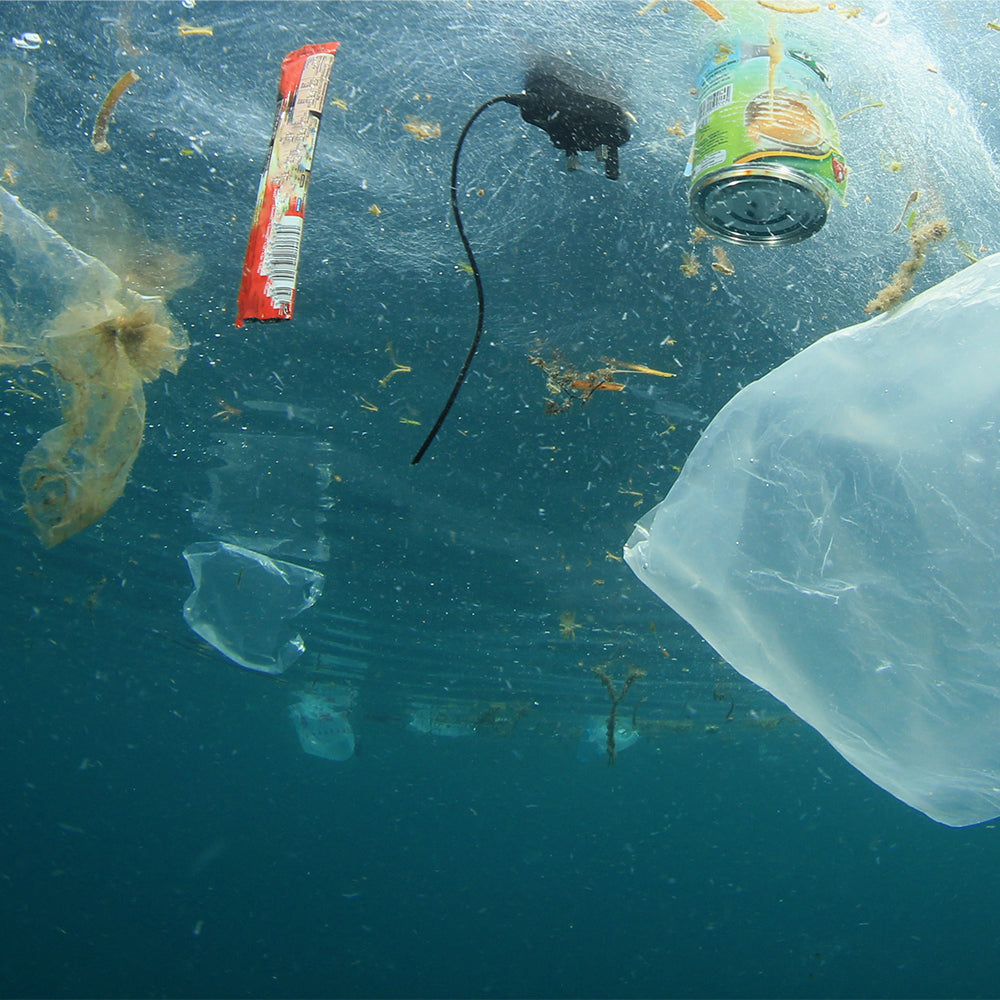 Help Save Our Oceans