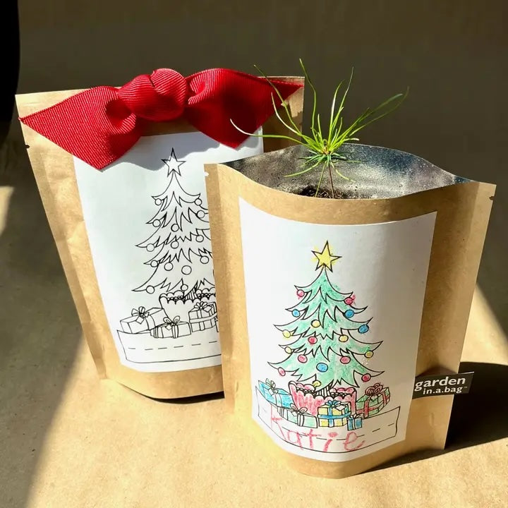 Two Christmas-themed "garden in a bag" kits. The kit on the left is still a gift with a red bow and a coloring page of a tree, while the kit on the right has been colored and now holds a newly-sprouted evergreen sapling.