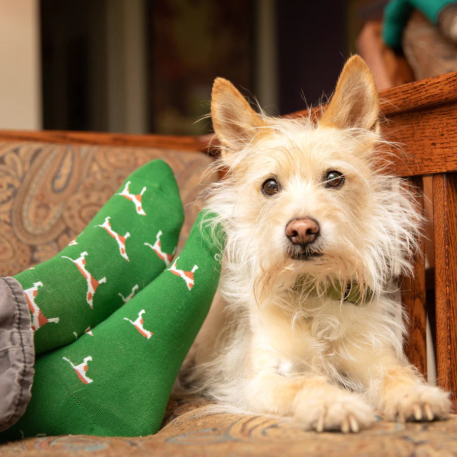 A person is shown seated on a brown paisley couch wearing gray pants and green socks with a pattern of red and white dogs. A small, shaggy, light-colored dog is lying next to the person looking at the camera.