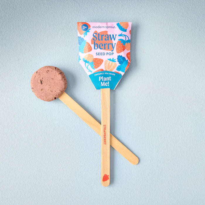 A strawberry seed pop on a bamboo stick, shown with its separate round brown planting pod.