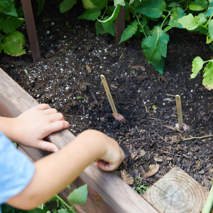 A child's hand gently works the dark soil in a raised wooden garden bed, with two seed pops already planted and marked. It's a sweet scene of a child learning to garden.