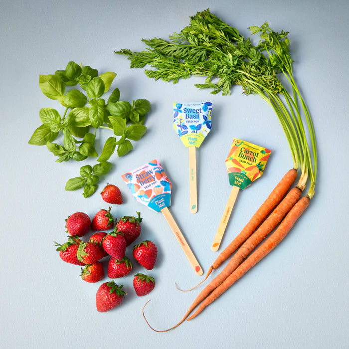A delightful display of seed pops with the fresh food nex to them. The strawberry pop is with strawberries, the carrot pop is with carrots and the basil pop with basil leaves.