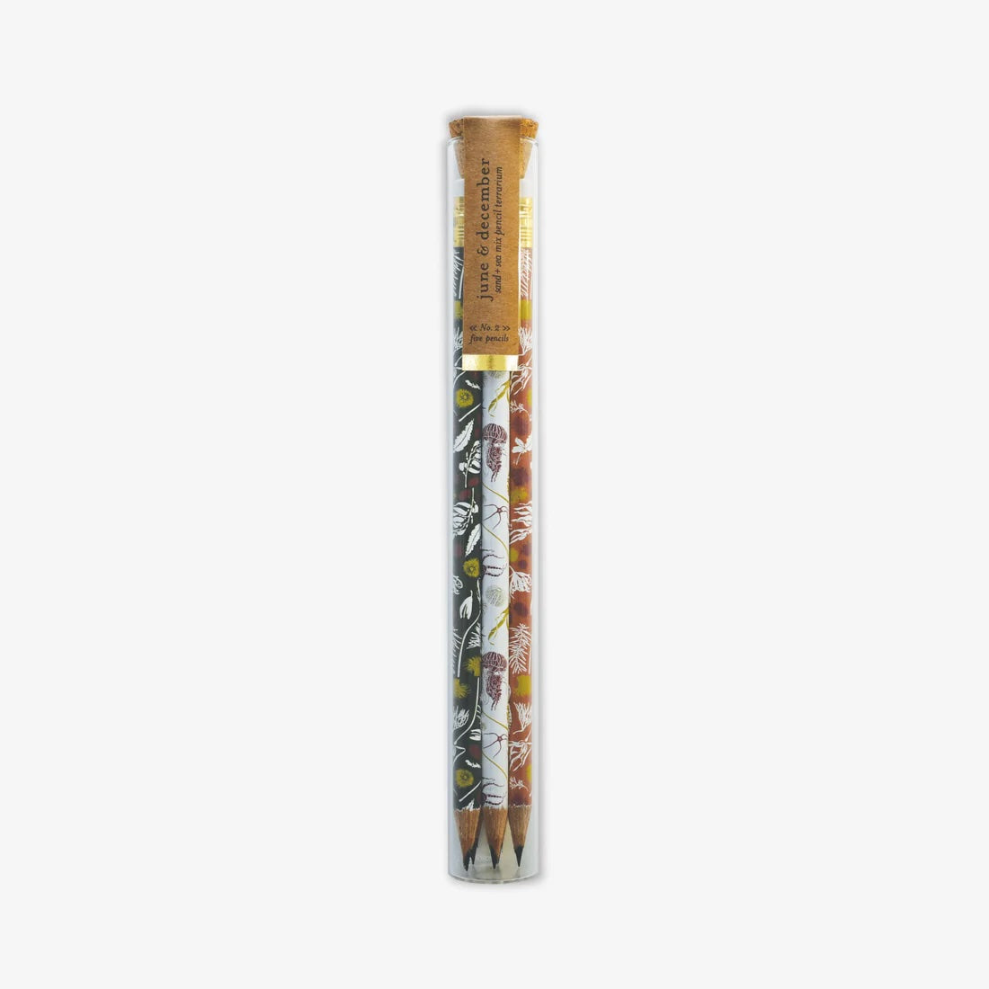 Cylinder container holding five eco-friendly pencils with assorted botanical designs, enclosed in glass packaging intended for reuse as a small plant terrarium.