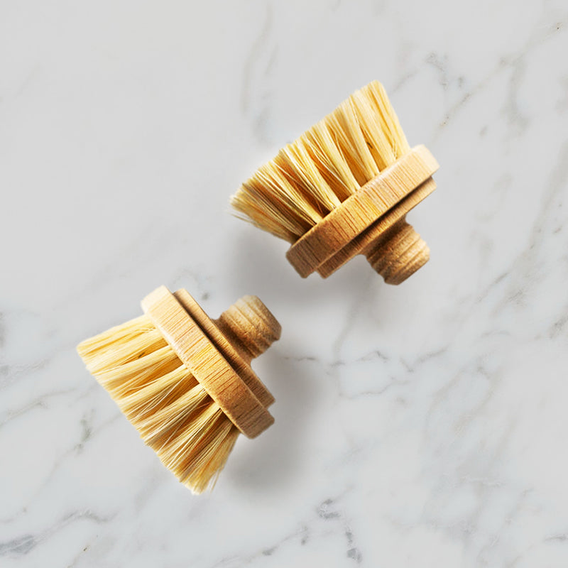 Pair of wooden dish brush replacements heads shown with natural sisal bristles, emphasizing compostable and eco-friendly design.