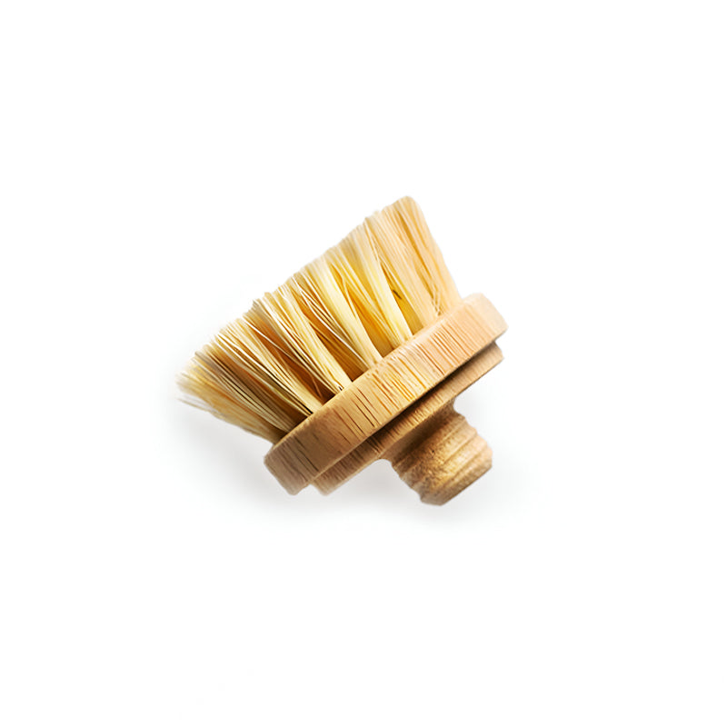 Close-up of wooden dish brush head with biodegradable Tampico fiber bristles highlighting sustainable vegan materials