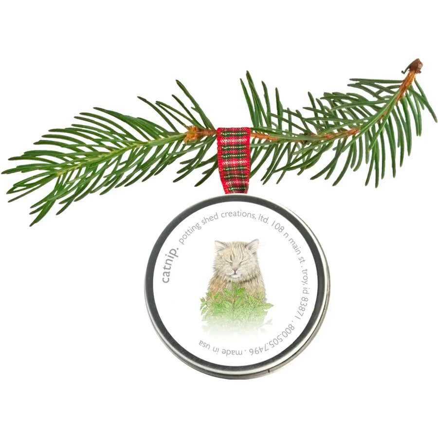 A round, silver tin is shown hanging from a pine branch by a red and green plaid ribbon. The tin's lid features an illustration of a cat sitting in a patch of catnip. This tin contains seeds.