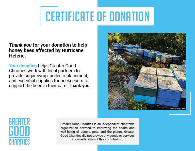 Donation certificate thanking supporters for aiding bees after Hurricane Helene, featuring flooded hives.