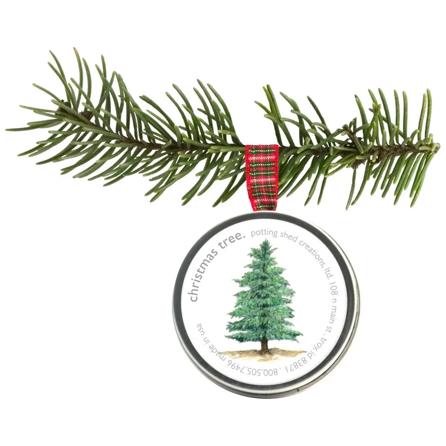 A round, silver tin is shown hanging from a pine branch by a red and green plaid ribbon. The tin's lid features an illustration of a Christmas tree, with the words christmas tree printed on it.