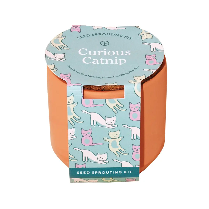 A sealed terracotta pot labeled “Curious Catnip,” an organic pet grow kit for cats that includes non-GMO seeds.
