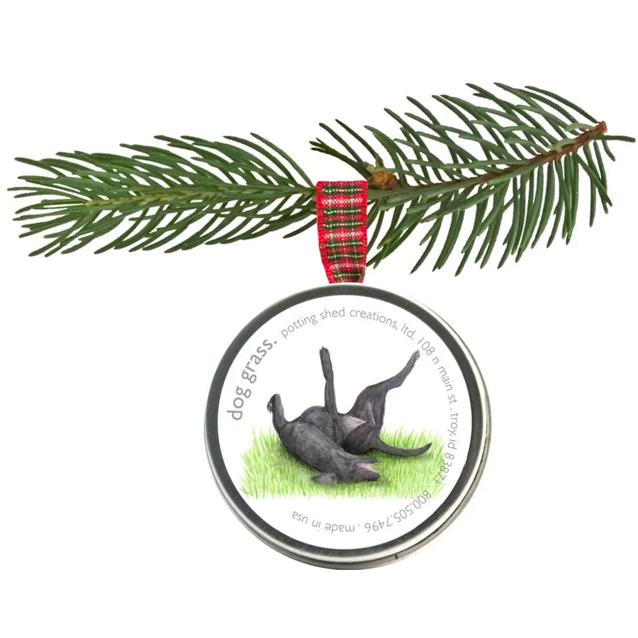 A round, silver tin is shown hanging from a pine branch by a red and green plaid ribbon. The tin's lid features an illustration of a black dog rolling in grass and the words "dog grass" are printed on it. Other text on the tin includes a business name and location.