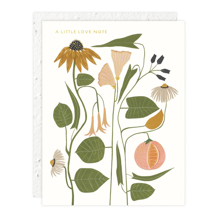 Illustration of wildflowers and leaves with gold foil text “A LITTLE LOVE NOTE” on a white background. Paired with a seed paper envelope.