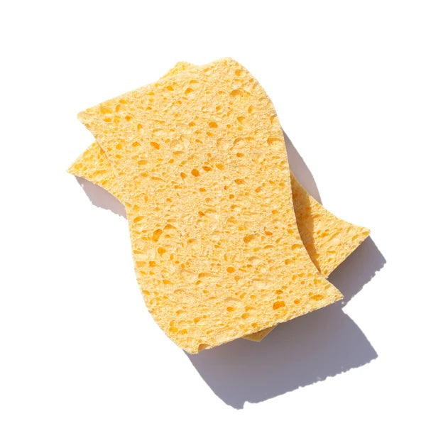 Close-up of two natural plant cellulose biodegradable kitchen sponges in white background
