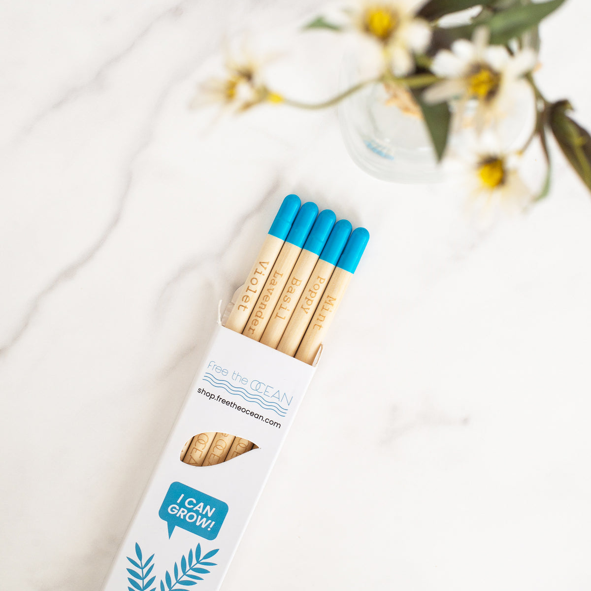 pencils with plant seeds FTO Plantable Pencils
