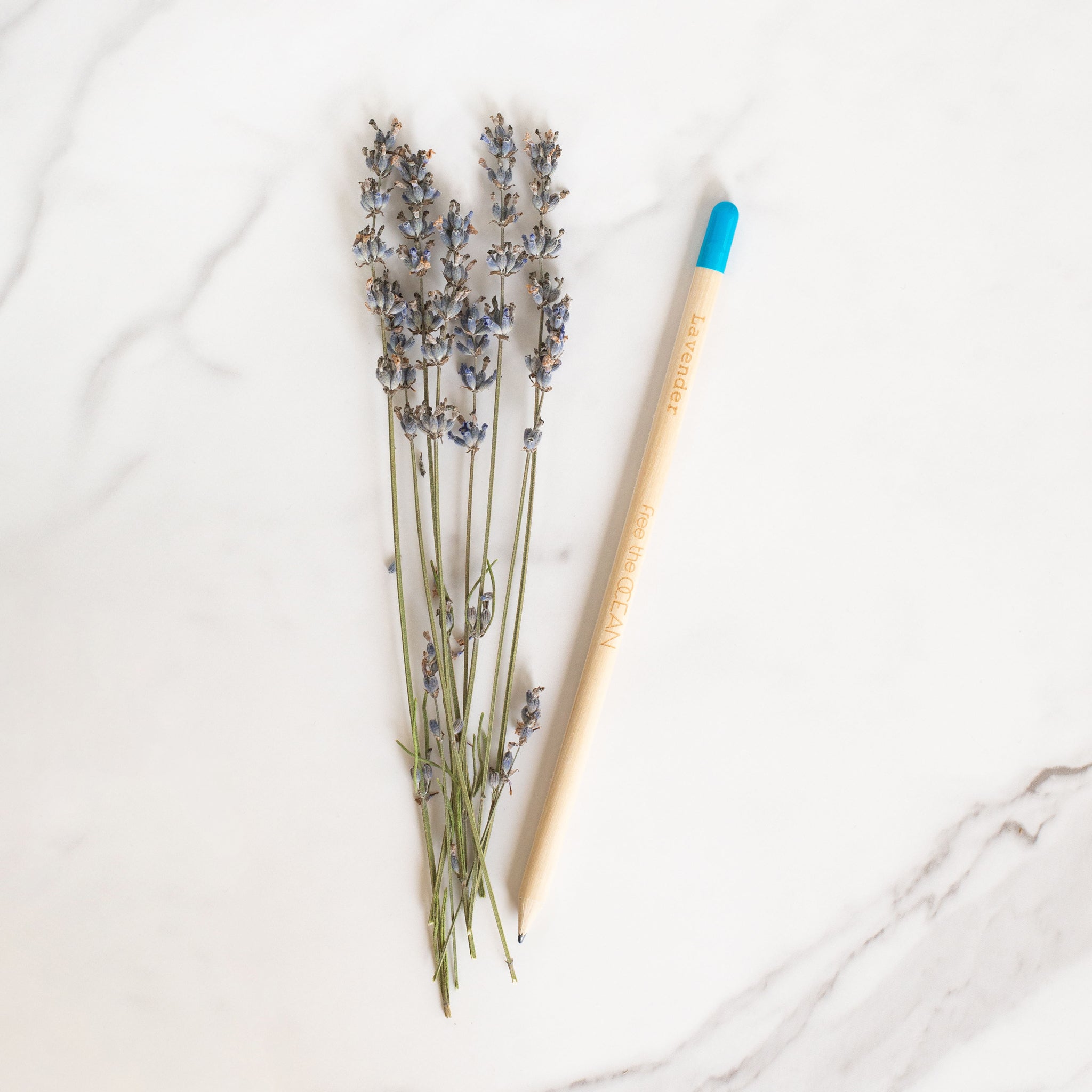 A single bamboo pencil with a blue tip is resting next to a bundle of dried lavender sprigs. The word "Lavender" is engraved vertically on the pencil as are the words "free the OCEAN".