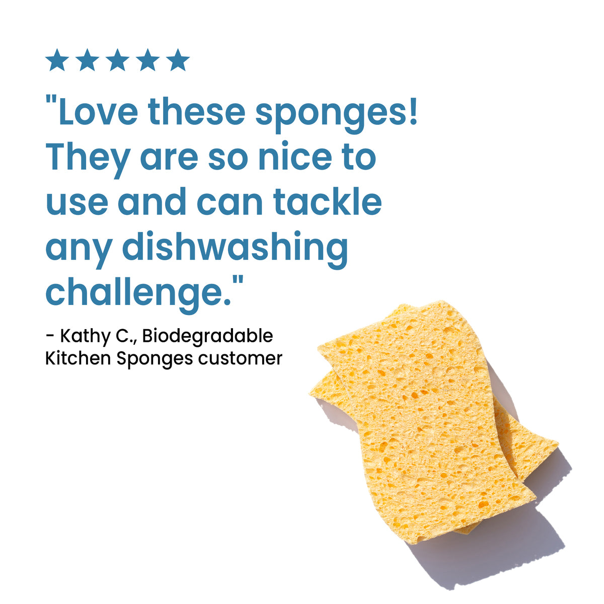 Two biodegradable kitchen sponges with a customer review saying: "Love these sponges! They are so nice to use and tackle any dishwashing challenge" on a white background.