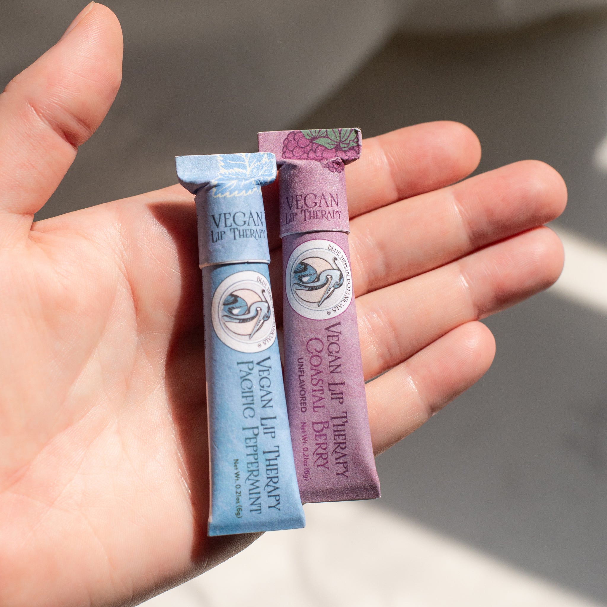 Person holding Coastal Berry and Pacific Mint Lip Therapy Balm tubes, with soft natural light highlighting the clean, minimal setting. Made with organic, ethically sourced ingredients and packaged in compostable, plastic-free paperboard.
