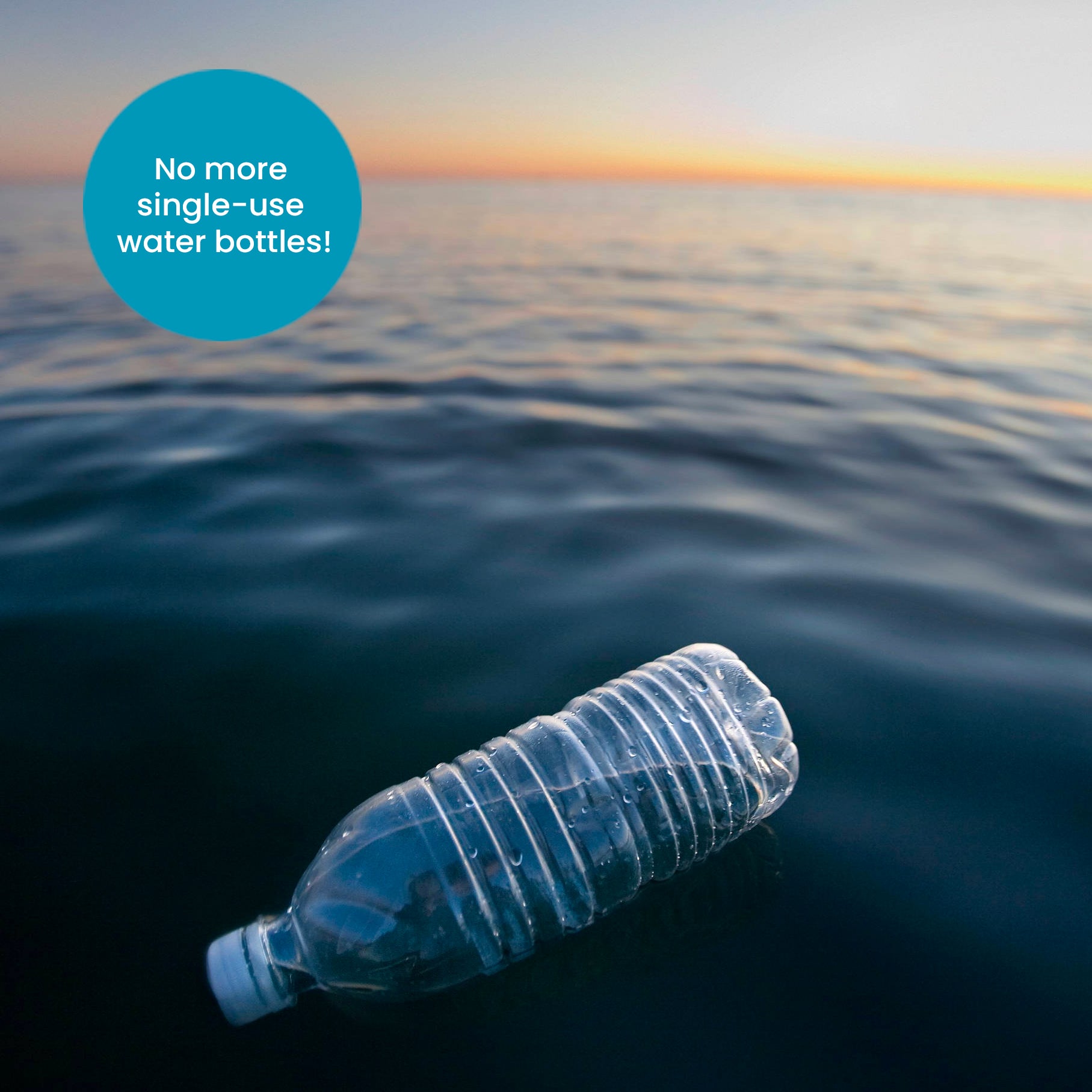 A plastic bottle floats in dark water at sunset. A blue bubble in the top left reads "No more single-use water bottles!".