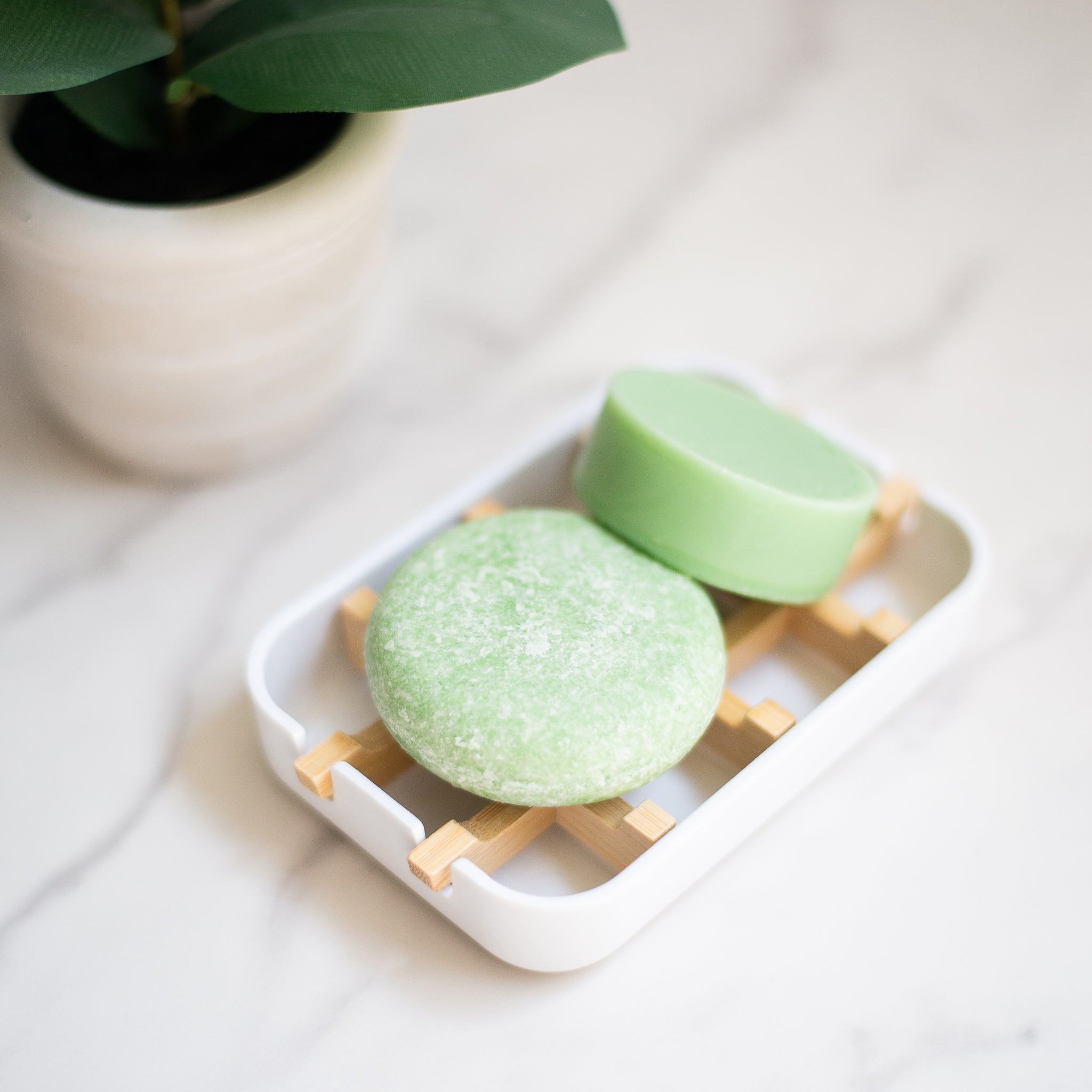 A white soap dish with bamboo slats holds two solid shampoo or conditioner bars. One bar is a round speckled pale green and the other is an oval-shaped solid pale green.