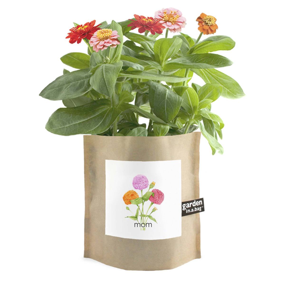 A beautiful plant with colorful pink, orange, and red flowers is growing in a brown paper "garden in a bag" pot. A white label on the pot features an illustration of three flowers and the word "mom".