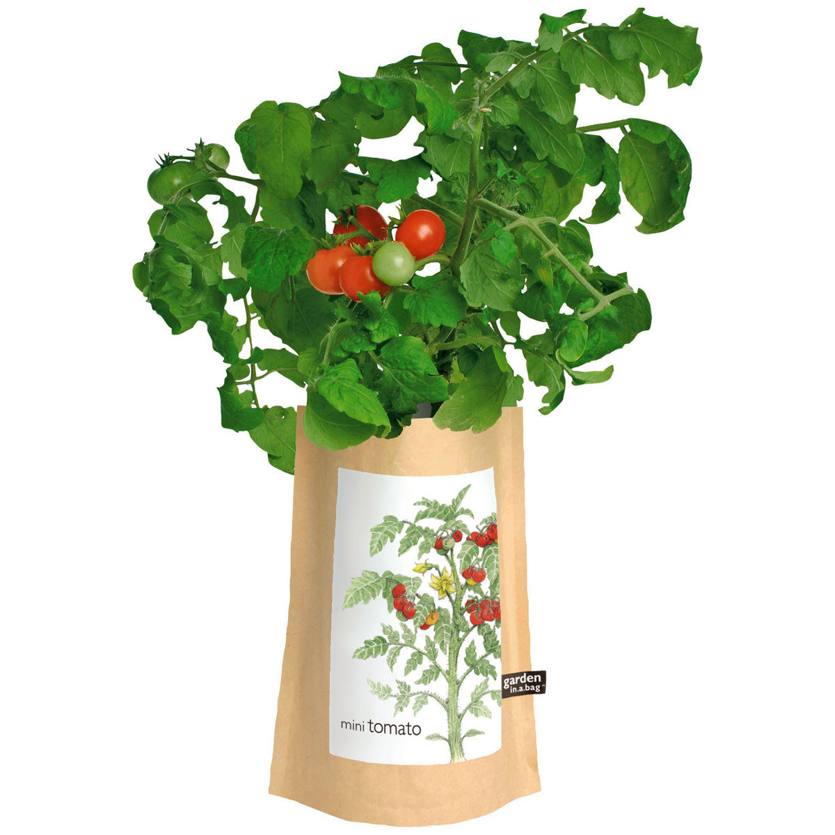 A lush mini tomato plant with bright red and green tomatoes grows in a brown paper "garden in.a.bag" pot. The label features a detailed illustration of the plant and clearly labels it "mini tomato."