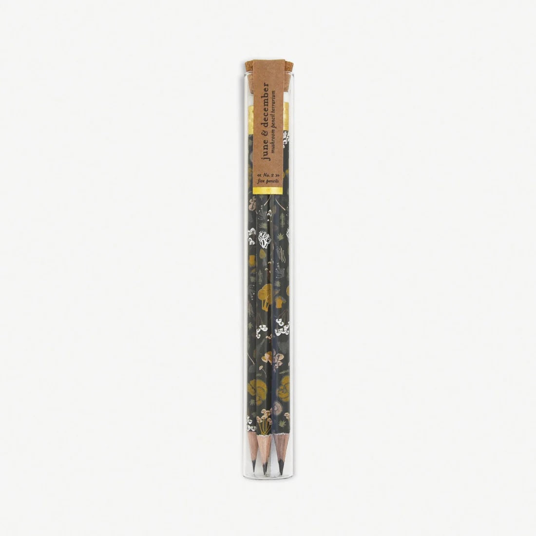 Cylinder container holding five eco-friendly pencils decorated with mushroom and plant motifs, in recyclable glass packaging suitable for terrarium use.