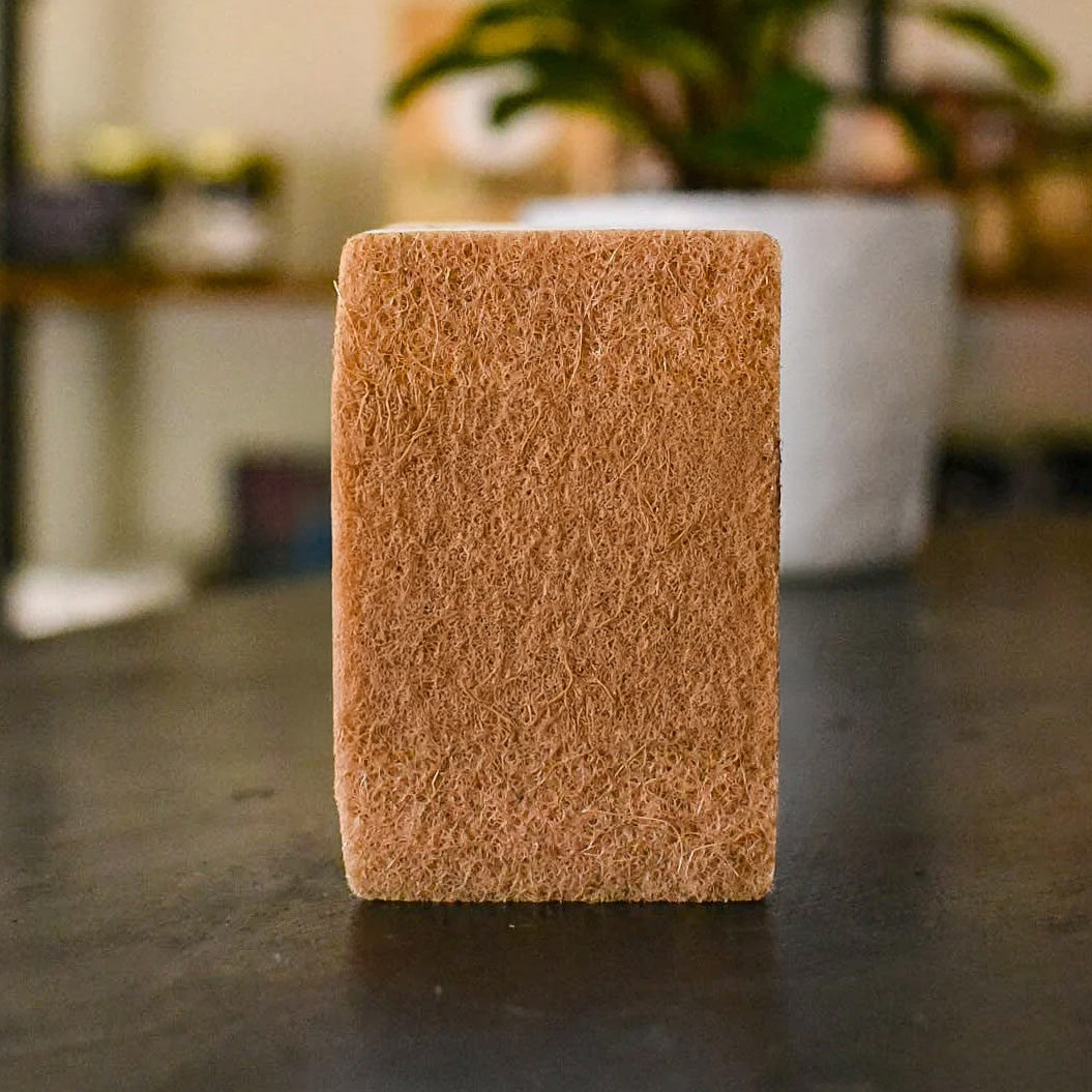 A natural sponge made of sustainably sourced coconut fiber and white cellulose, resting on a kitchen counter, highlighting its porous texture and eco-friendly design.
