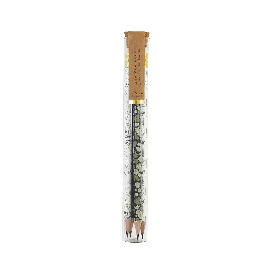 Cylinder container holding five eco-friendly pencils featuring a floral print, packaged for reuse as a small glass terrarium or vase.