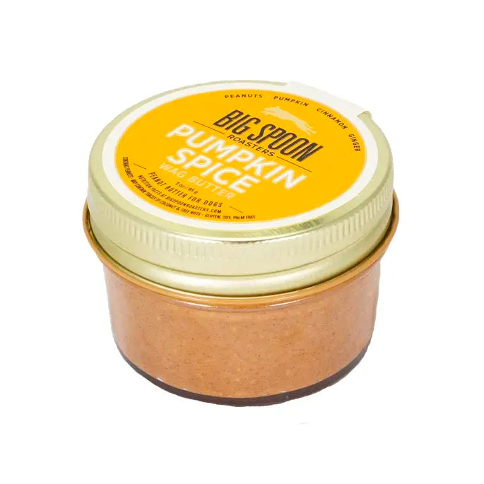 A glass jar with an orange-colored label for Big Spoon Roasters Wag Butter Pumpkin Spice. The lid is gold.