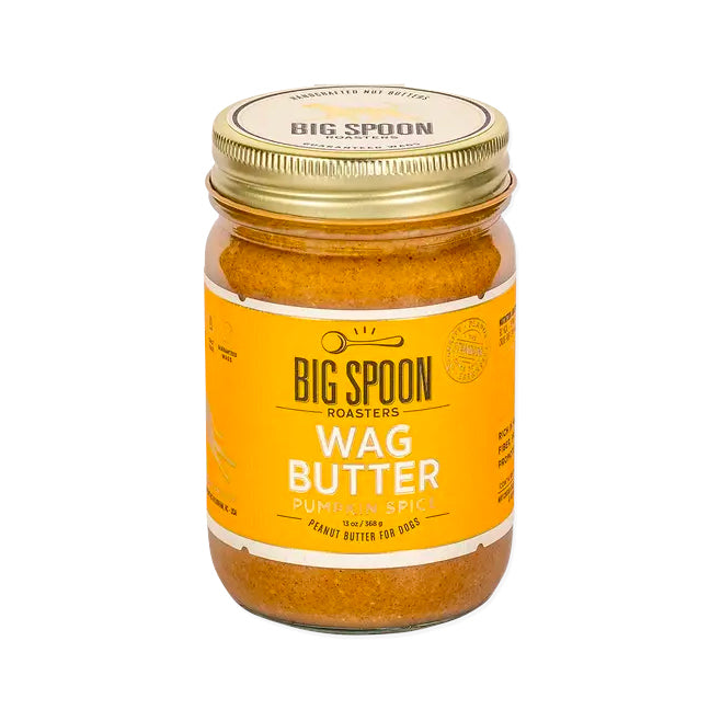 A glass jar with a gold lid and a pumpkin spice colored label is for "Big Spoon Roasters Wag Butter," a peanut butter for dogs. The jar contains an orange butter.
