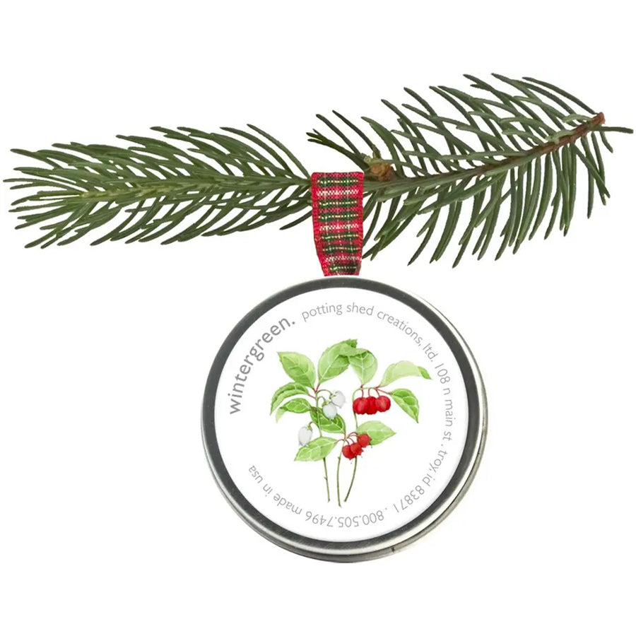 A round, silver tin is shown hanging from a pine branch by a red and green plaid ribbon. The tin's lid features an illustration of a wintergreen plant with green leaves and red berries and the word wintergreen is printed on it.