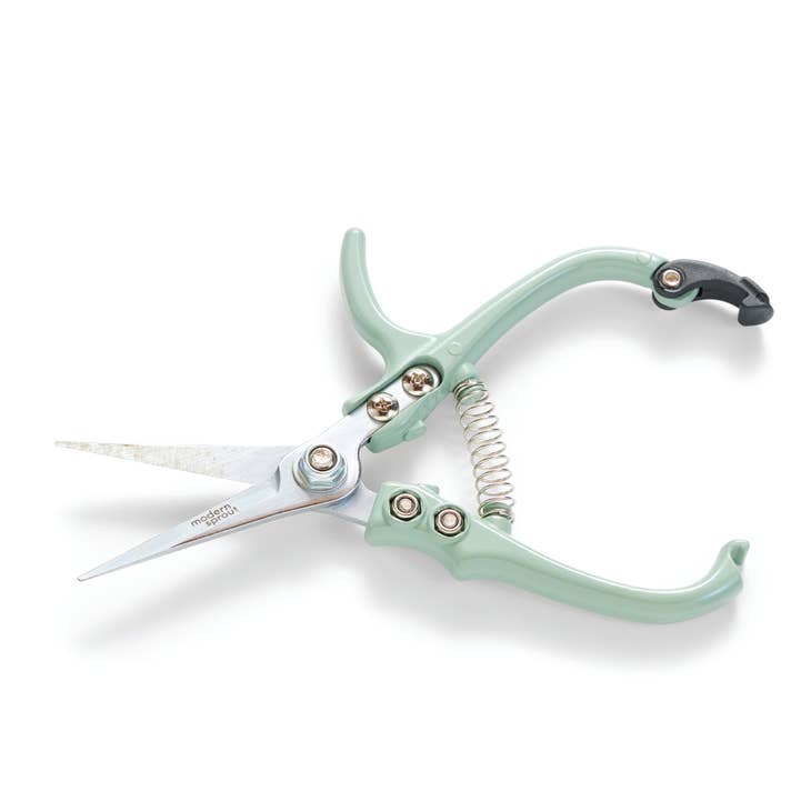 A pair of light green Modern Sprout shears is shown in an open position with the spring visible.
