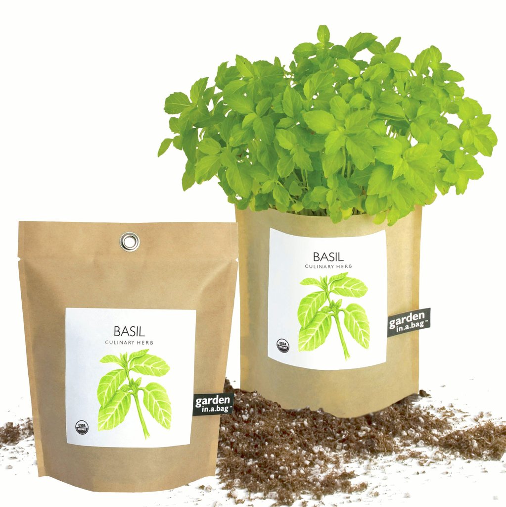 A lush basil plant grows in a brown paper pot next to a matching "garden in a bag" pouch. Both items have a label that identifies the plant as "BASIL".