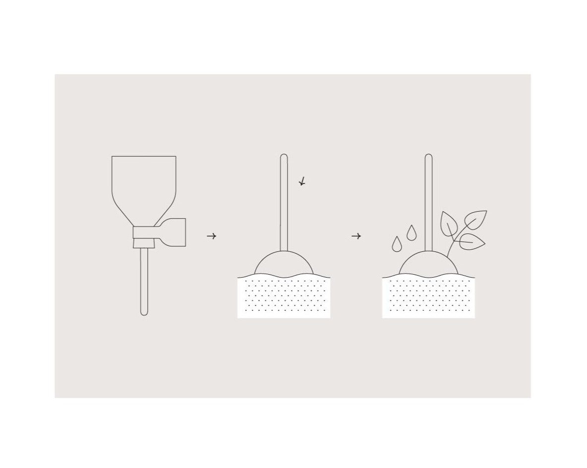 A three-step diagram illustrating how to plant the seed pop. It shows the pop before planting, then placed in the soil and finally, being watered as it begins to sprout leaves.