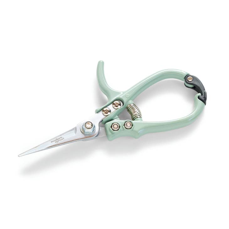 A pair of light green shears with a spring mechanism is shown on a white background. The brand name Modern Sprout is engraved on the blade.