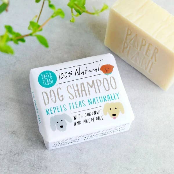A box of Paper Plane 100% Natural Dog Shampoo is shown on a light gray countertop next to a plain bar of solid shampoo soap from the same brand.